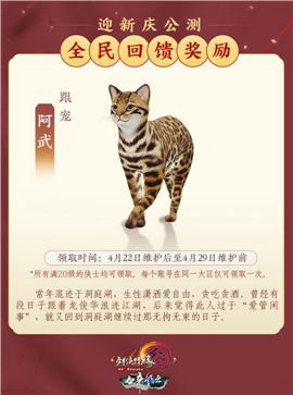 最大的 天龙八部 私服